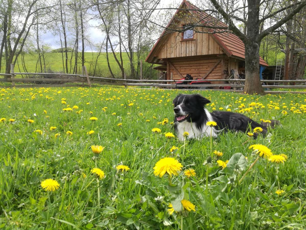 Holiday Home Holiday Raj Bešeňová Eksteriør bilde